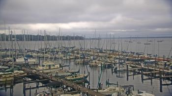 Weather camera view of Mandarin Holiday Marina.