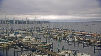 Weather camera view of Mandarin Holiday Marina.