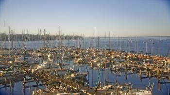 Weather camera view of Mandarin Holiday Marina.