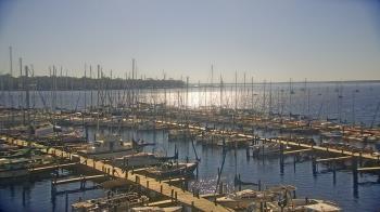 Weather camera view of Mandarin Holiday Marina.