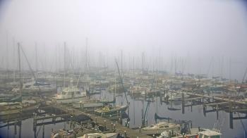 Weather camera view of Mandarin Holiday Marina.