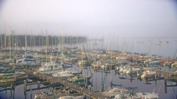 Weather camera view of Mandarin Holiday Marina.