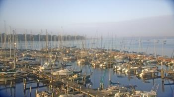 Weather camera view of Mandarin Holiday Marina.