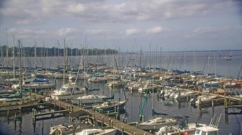 Weather camera view of Mandarin Holiday Marina.