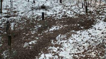 Weather camera view of Cincinnati Nature Center.