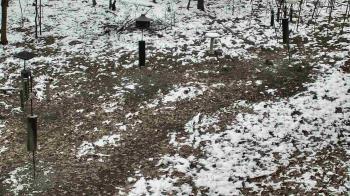 Weather camera view of Cincinnati Nature Center.