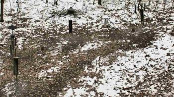 Weather camera view of Cincinnati Nature Center.