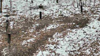 Weather camera view of Cincinnati Nature Center.