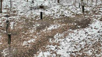 Weather camera view of Cincinnati Nature Center.