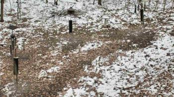 Weather camera view of Cincinnati Nature Center.