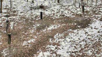 Weather camera view of Cincinnati Nature Center.