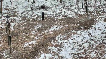 Weather camera view of Cincinnati Nature Center.