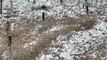 Weather camera view of Cincinnati Nature Center.