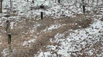 Weather camera view of Cincinnati Nature Center.