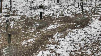 Weather camera view of Cincinnati Nature Center.