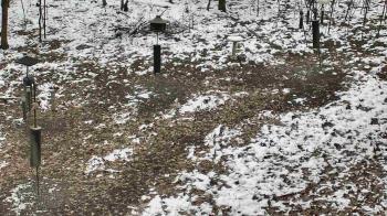 Weather camera view of Cincinnati Nature Center.