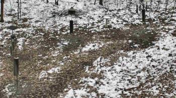 Weather camera view of Cincinnati Nature Center.