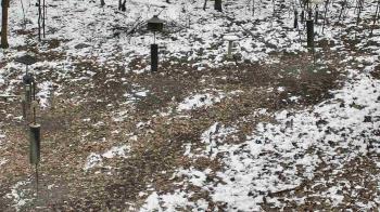 Weather camera view of Cincinnati Nature Center.