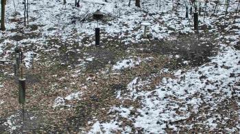 Weather camera view of Cincinnati Nature Center.