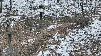 Weather camera view of Cincinnati Nature Center.