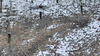 Weather camera view of Cincinnati Nature Center.