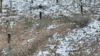 Weather camera view of Cincinnati Nature Center.