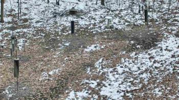 Weather camera view of Cincinnati Nature Center.