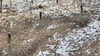 Weather camera view of Cincinnati Nature Center.