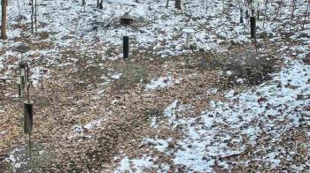 Weather camera view of Cincinnati Nature Center.