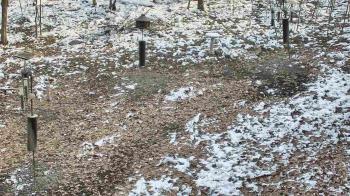 Weather camera view of Cincinnati Nature Center.