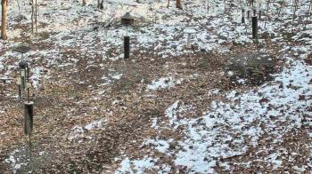 Weather camera view of Cincinnati Nature Center.