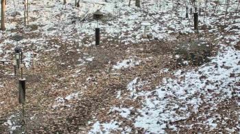 Weather camera view of Cincinnati Nature Center.