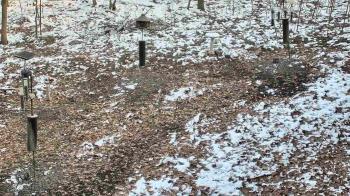 Weather camera view of Cincinnati Nature Center.