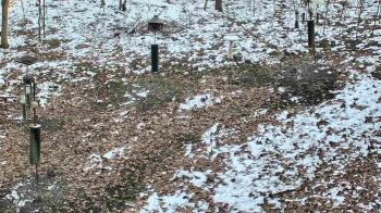 Weather camera view of Cincinnati Nature Center.