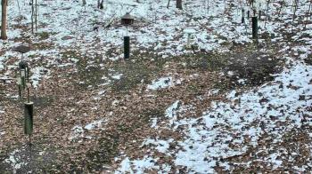 Weather camera view of Cincinnati Nature Center.