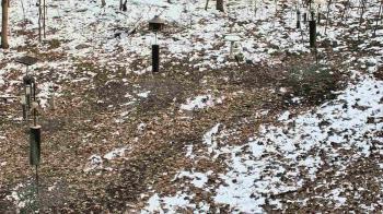 Weather camera view of Cincinnati Nature Center.