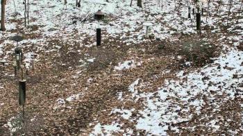 Weather camera view of Cincinnati Nature Center.