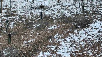 Weather camera view of Cincinnati Nature Center.