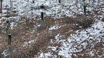 Weather camera view of Cincinnati Nature Center.