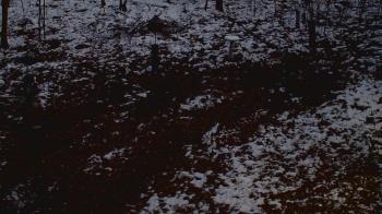 Weather camera view of Cincinnati Nature Center.