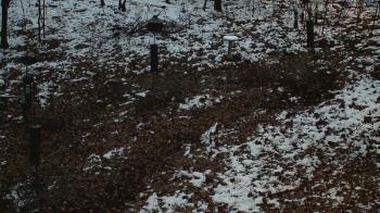 Weather camera view of Cincinnati Nature Center.