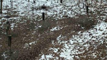 Weather camera view of Cincinnati Nature Center.