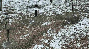 Weather camera view of Cincinnati Nature Center.