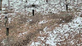 Weather camera view of Cincinnati Nature Center.