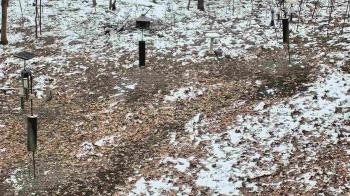 Weather camera view of Cincinnati Nature Center.