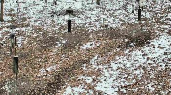 Weather camera view of Cincinnati Nature Center.