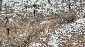 Weather camera view of Cincinnati Nature Center.