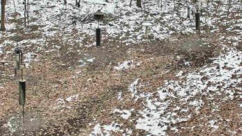Weather camera view of Cincinnati Nature Center.