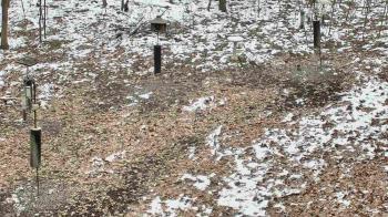 Weather camera view of Cincinnati Nature Center.