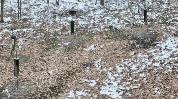 Weather camera view of Cincinnati Nature Center.
